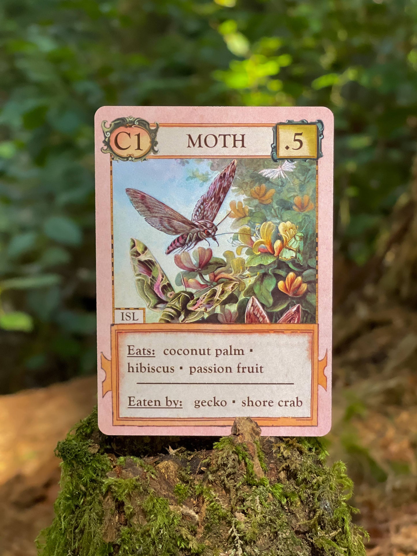 Montrose Biology - Ecologies: Hidden Habitats Card Game