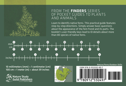 Fern Finder Eastern