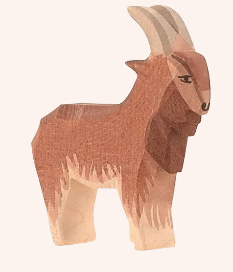 Goat Male