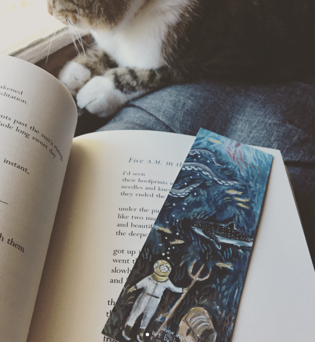 Wonders of the Deep Bookmark