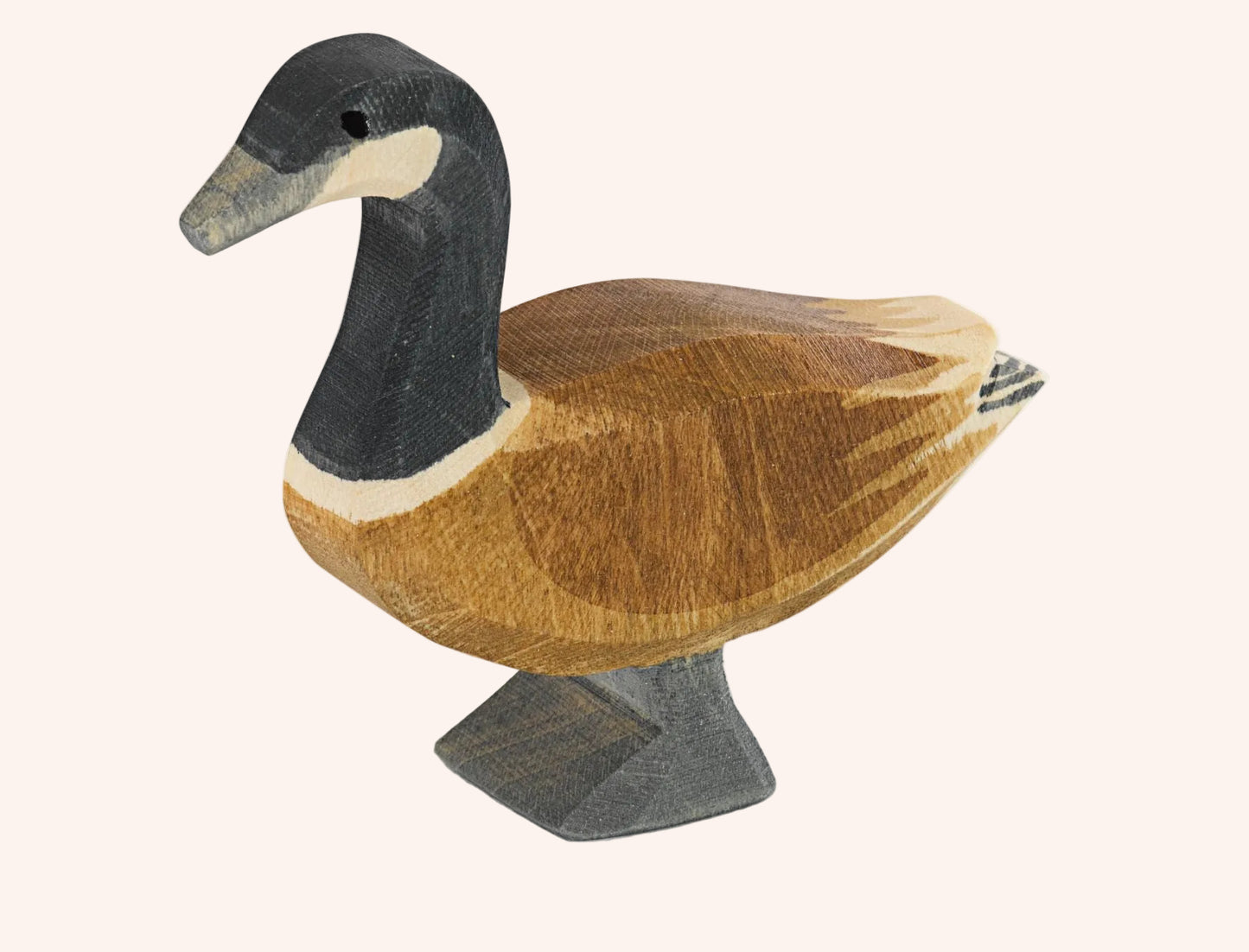 Canada Goose Standing