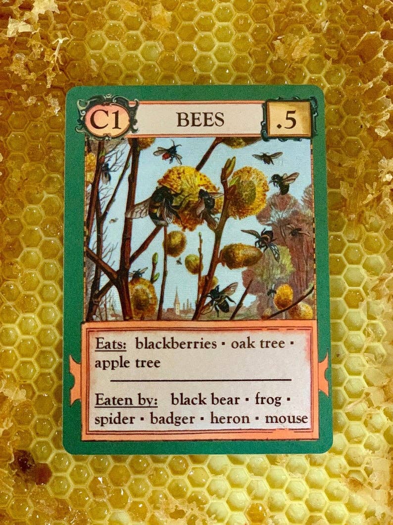 Montrose Biology - Ecologies Card Game