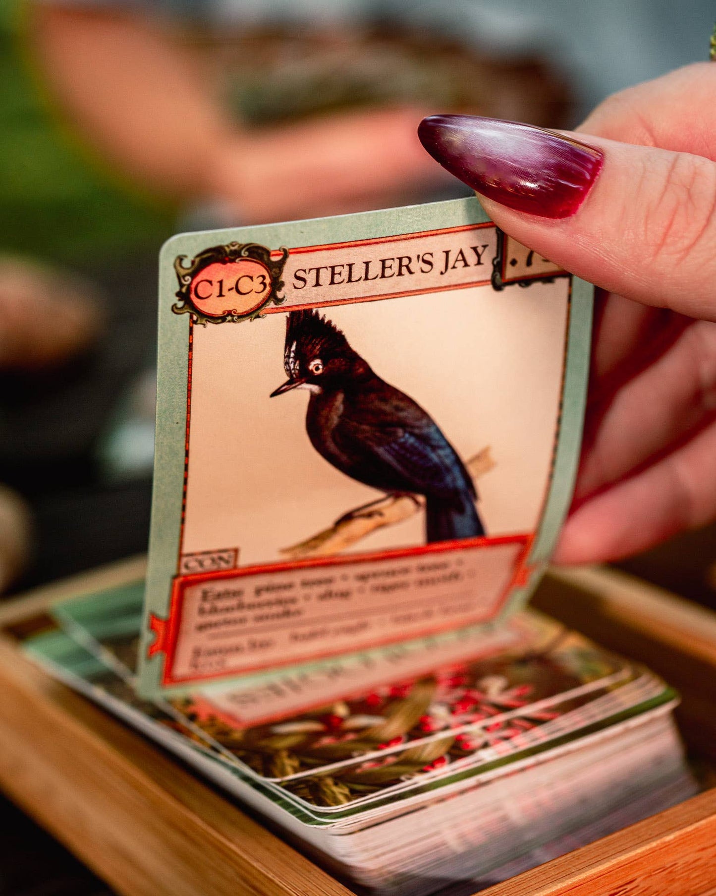 Montrose Biology - Ecologies Card Game