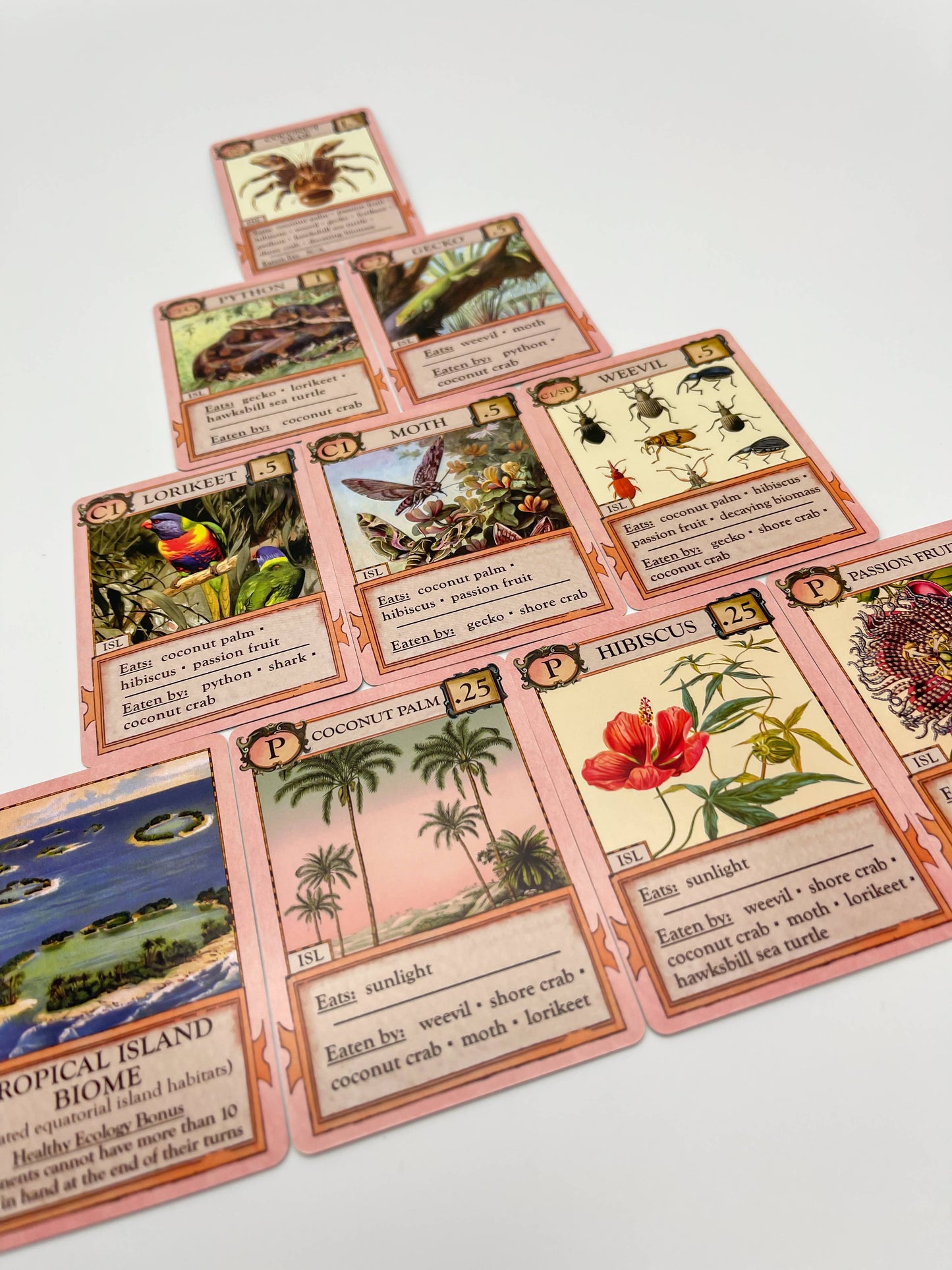 Montrose Biology - Ecologies: Hidden Habitats Card Game