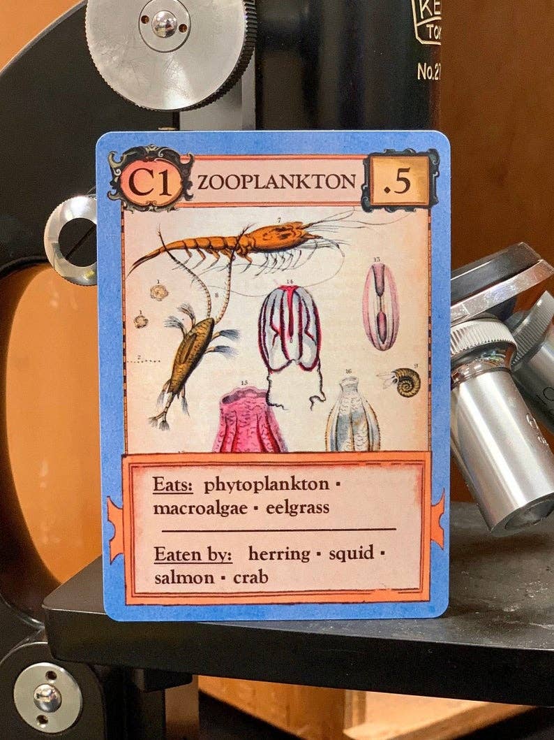 Montrose Biology - Ecologies Card Game