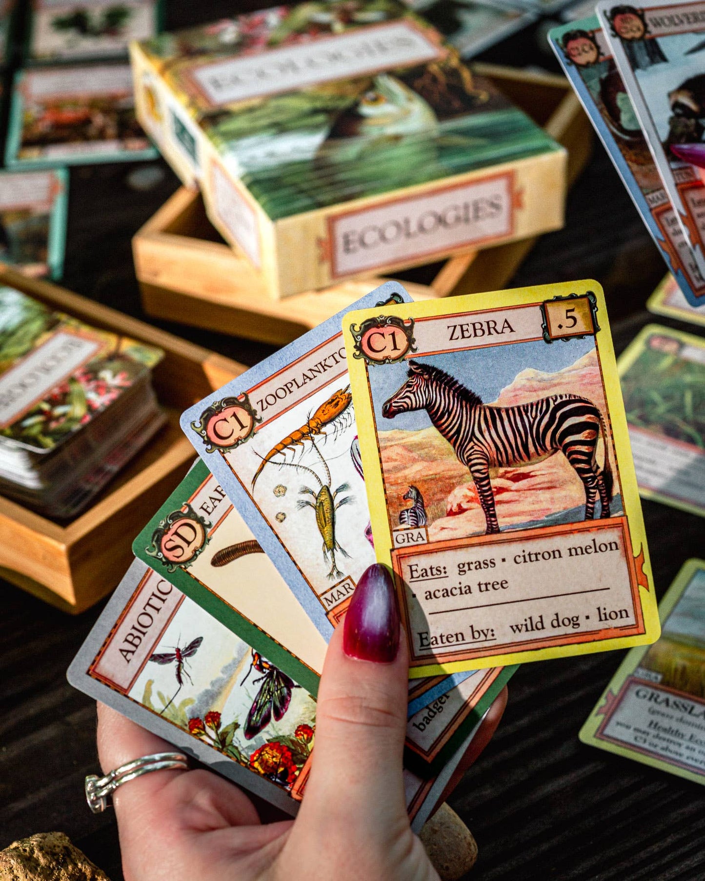 Montrose Biology - Ecologies Card Game