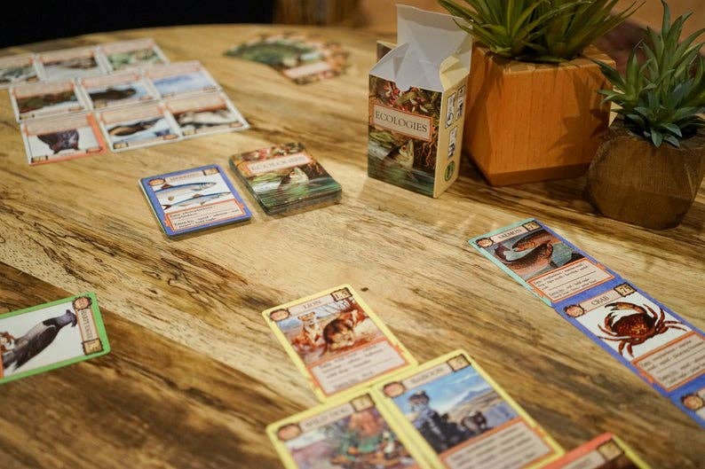 Montrose Biology - Ecologies Card Game