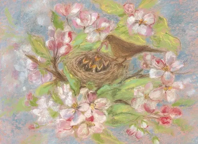 Marjan van Zeyl Postcards - Blackbird's Nest
