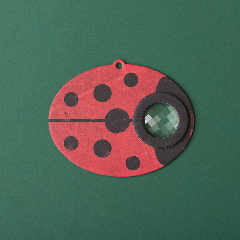 Bee Eye - Ladybug