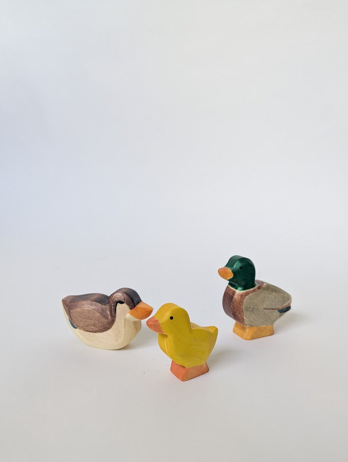 Duckling