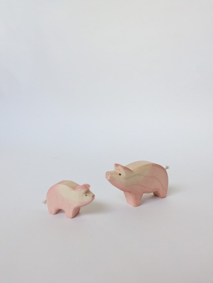 Pig