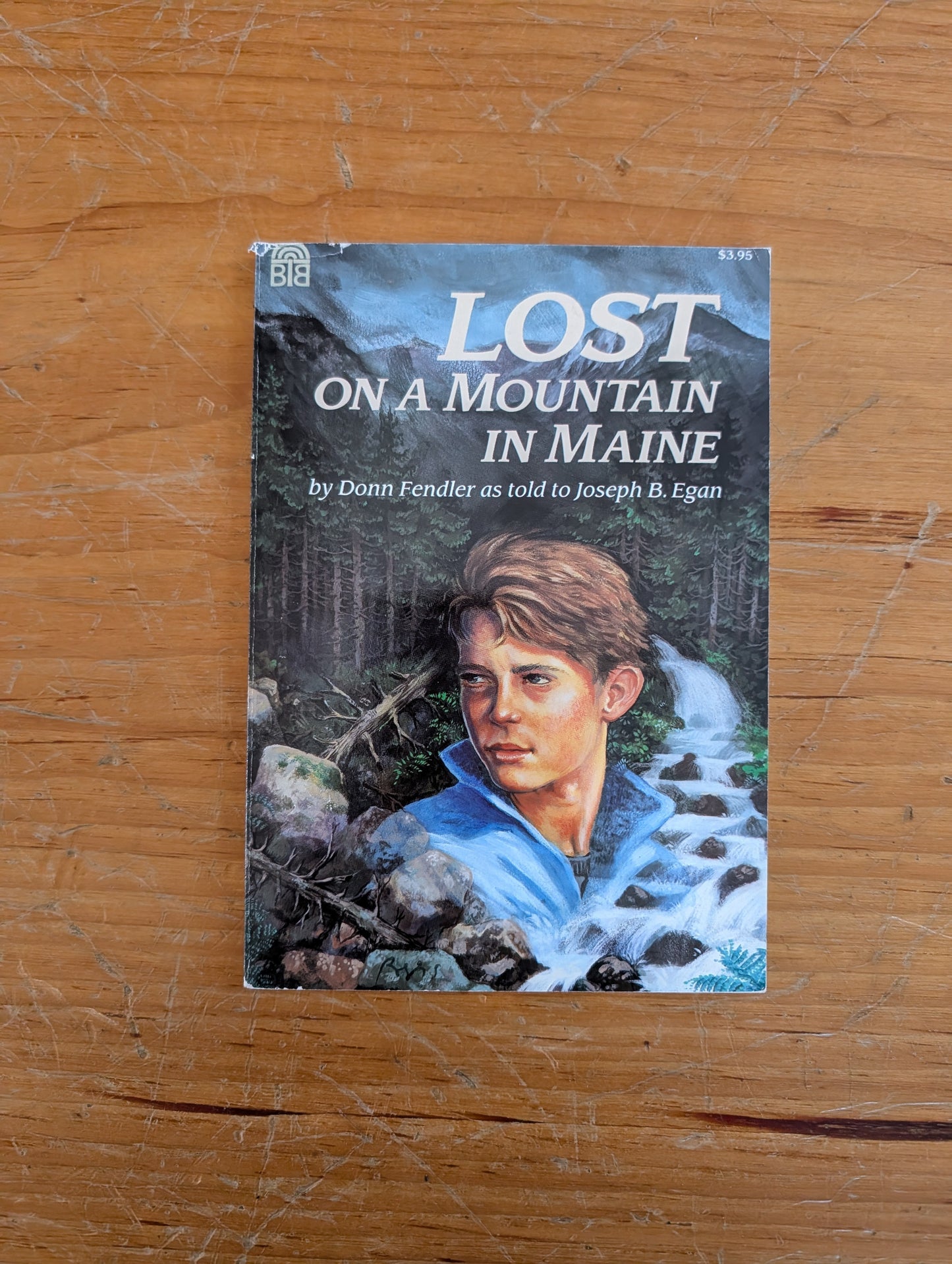 Lost on a Mountain in Maine by Donn Fendler
