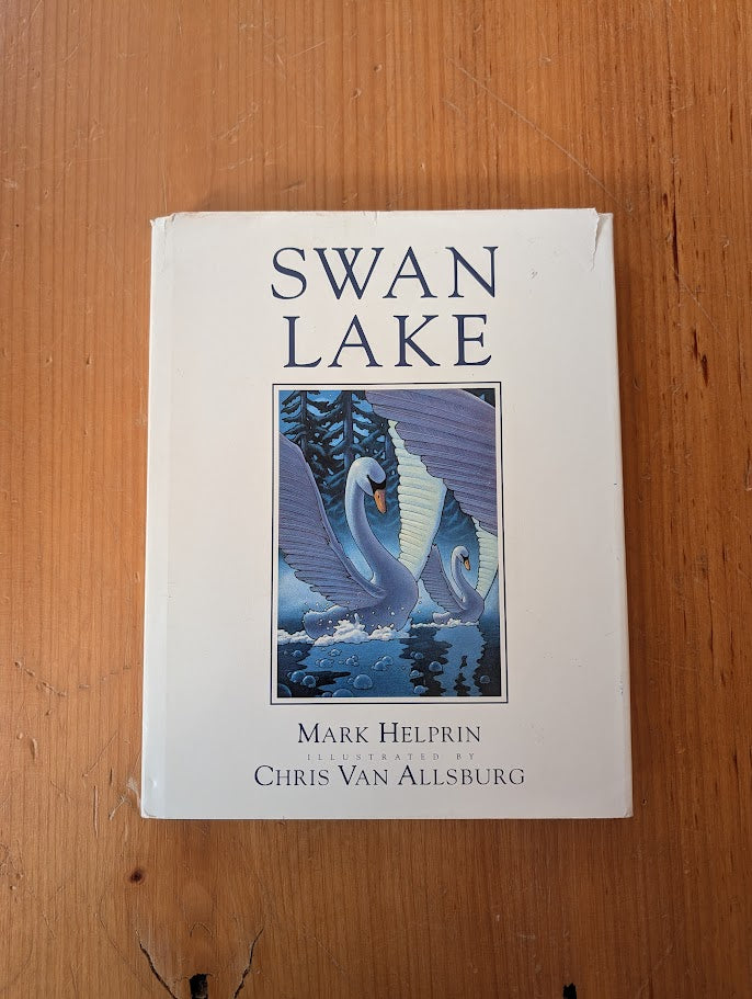 Swan Lake by Mark Helprin