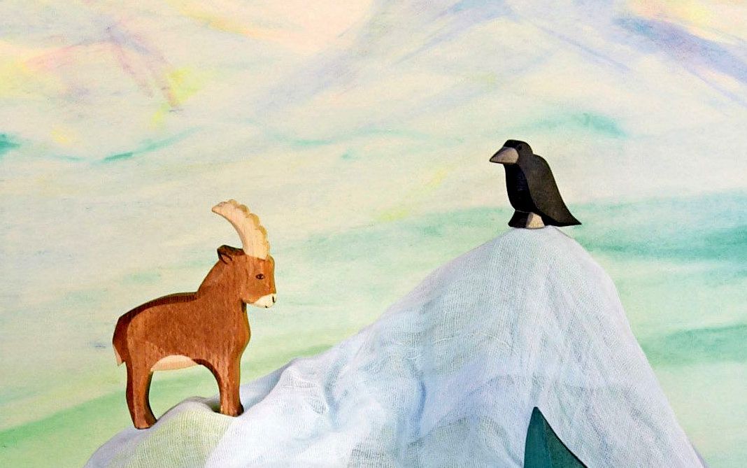 Mountain Goat Standing