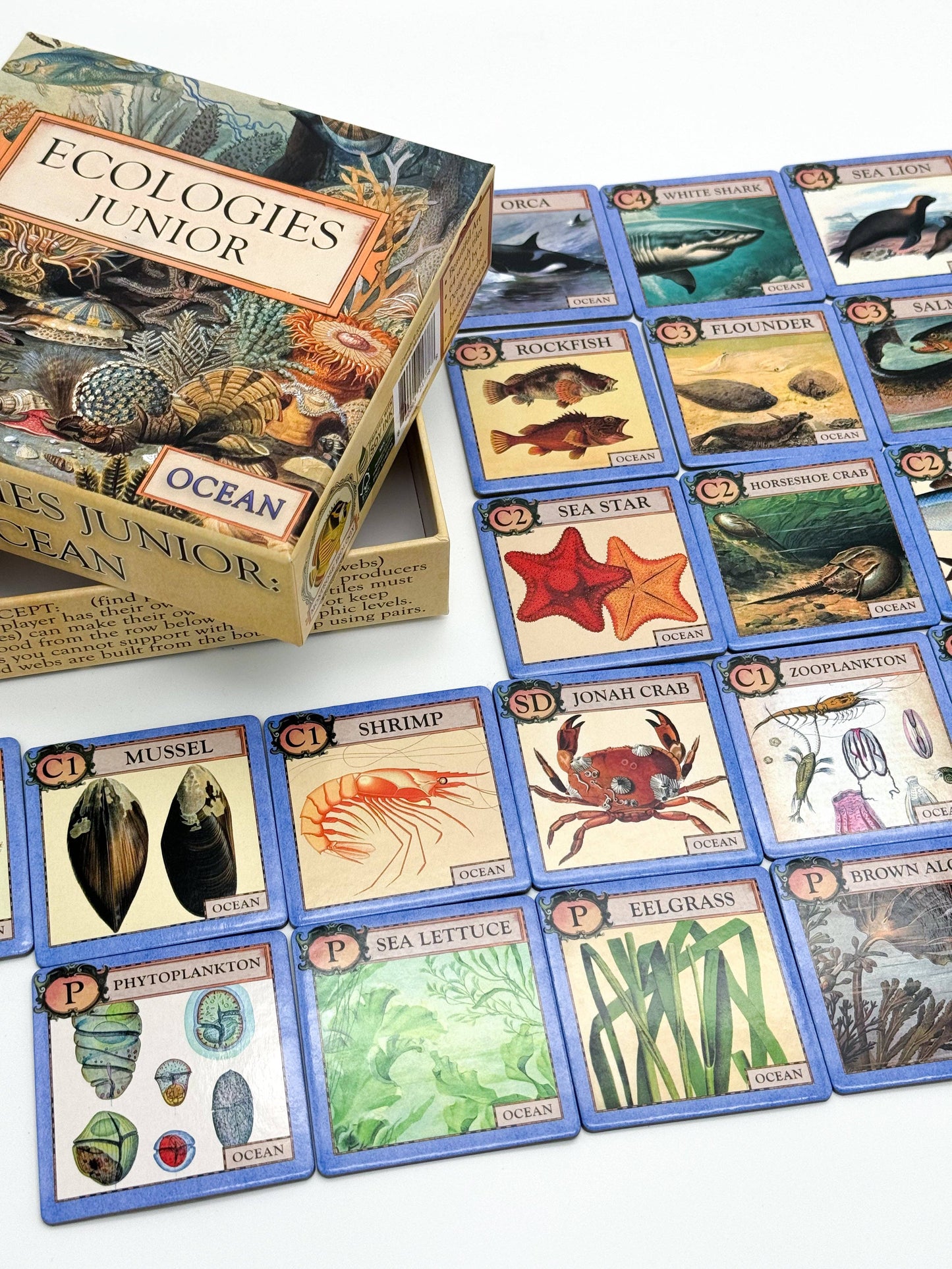 Montrose Biology - Ecologies Junior: Ocean