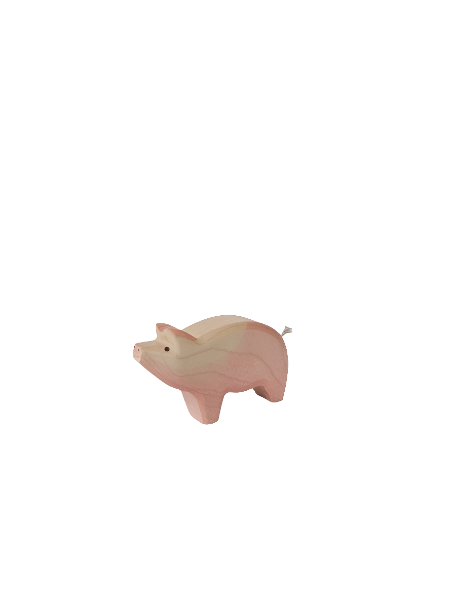 Pig