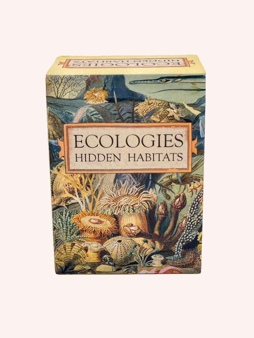 Montrose Biology - Ecologies: Hidden Habitats Card Game