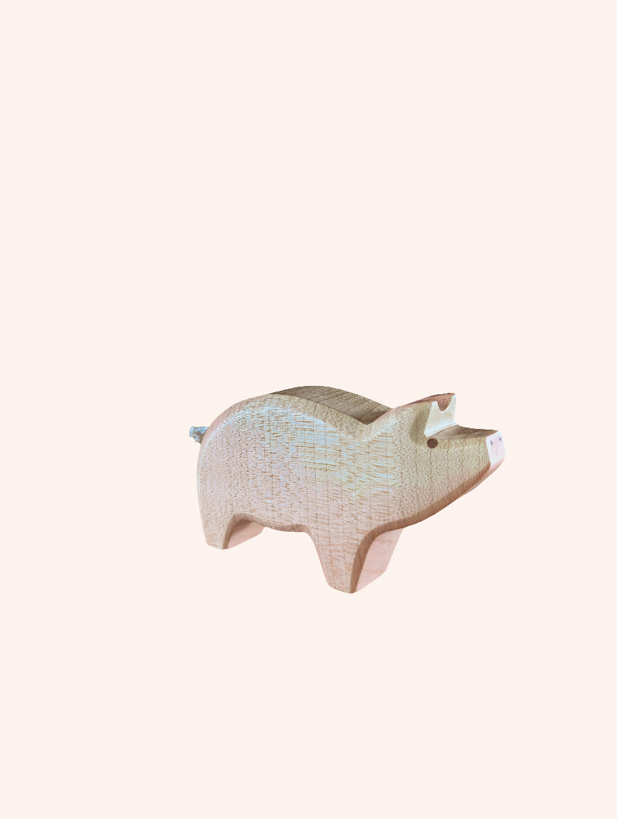 Pig