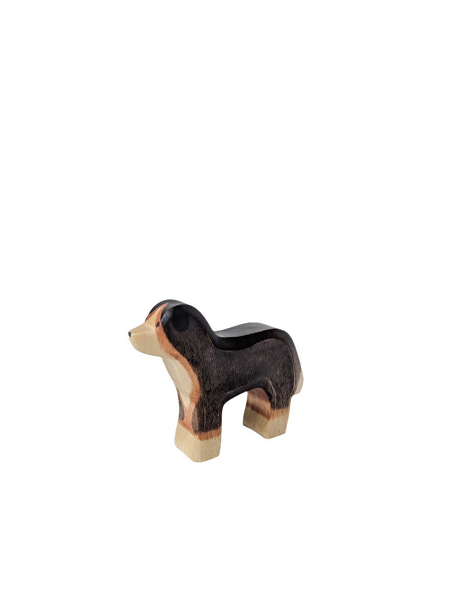Bernese Mountain Dog