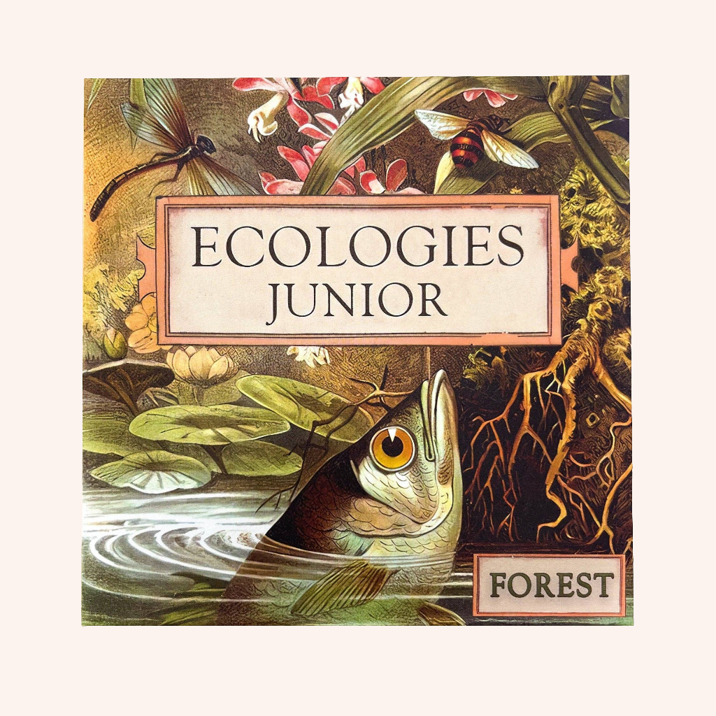 Montrose Biology - Ecologies Junior: Forest