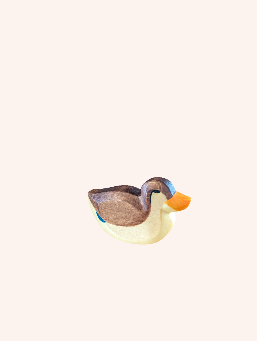 Duck