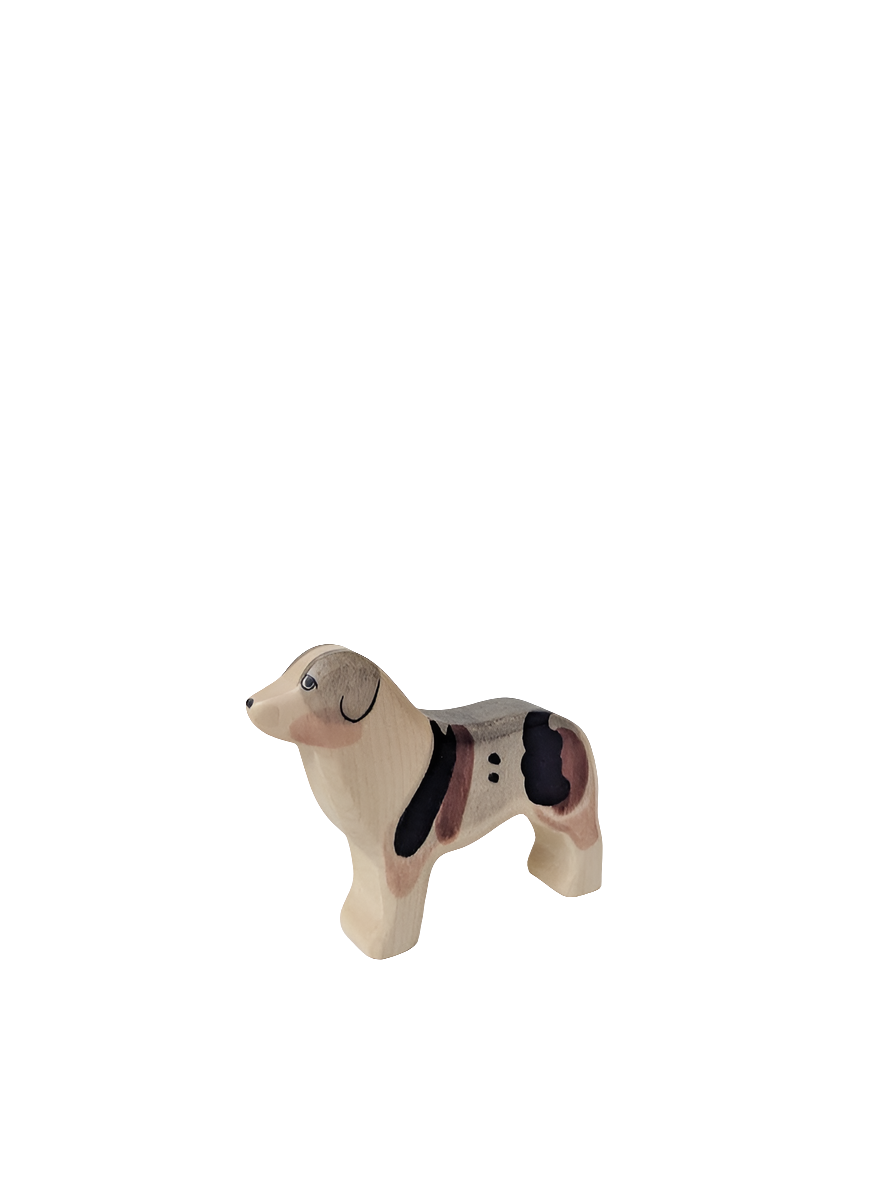 Australian Shepherd