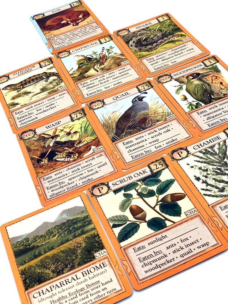 Montrose Biology - Ecologies: Bizarre Biomes