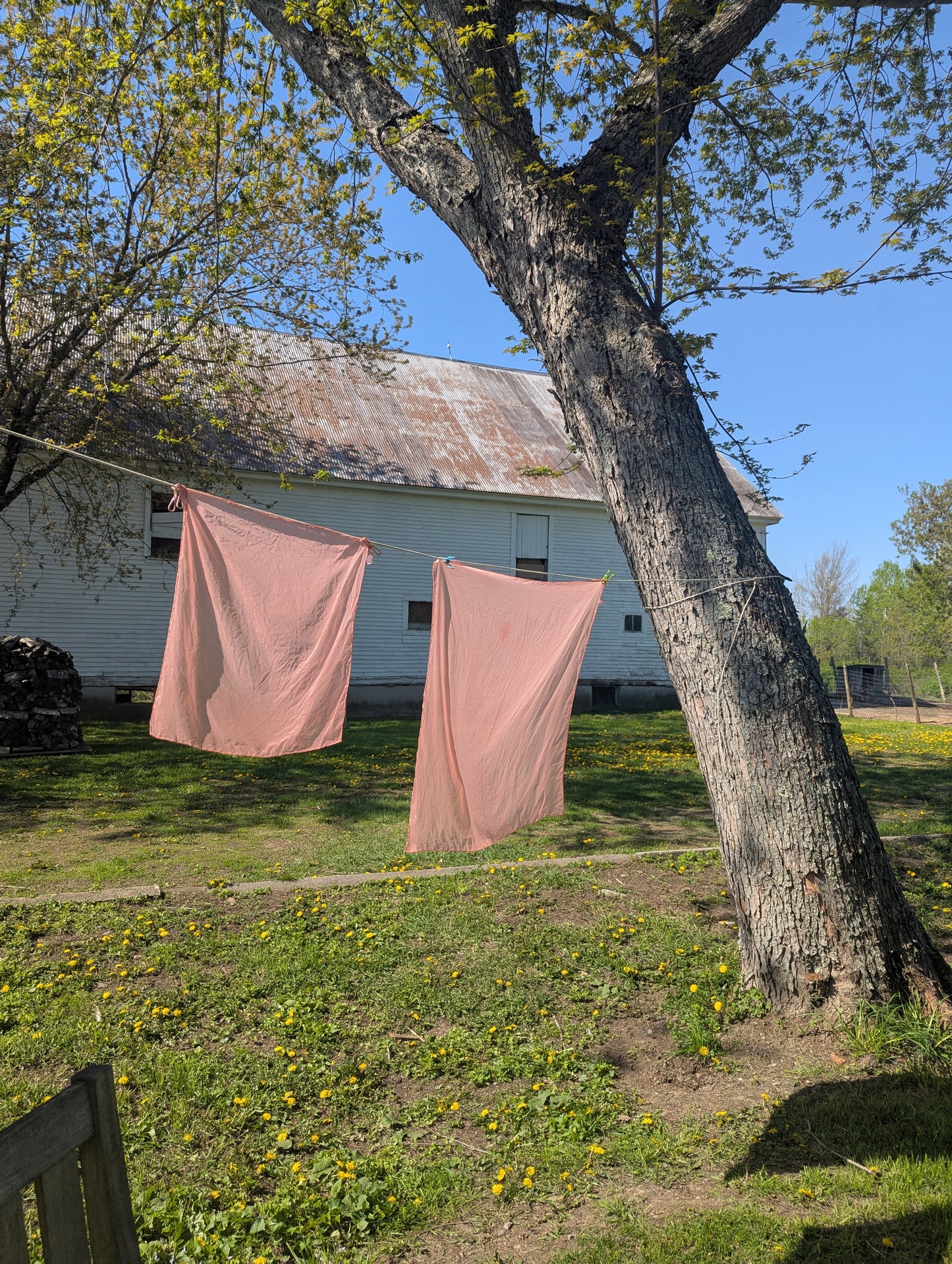 Play Silks - Premordanted, Ready for Natural Dyeing, Eco Printing