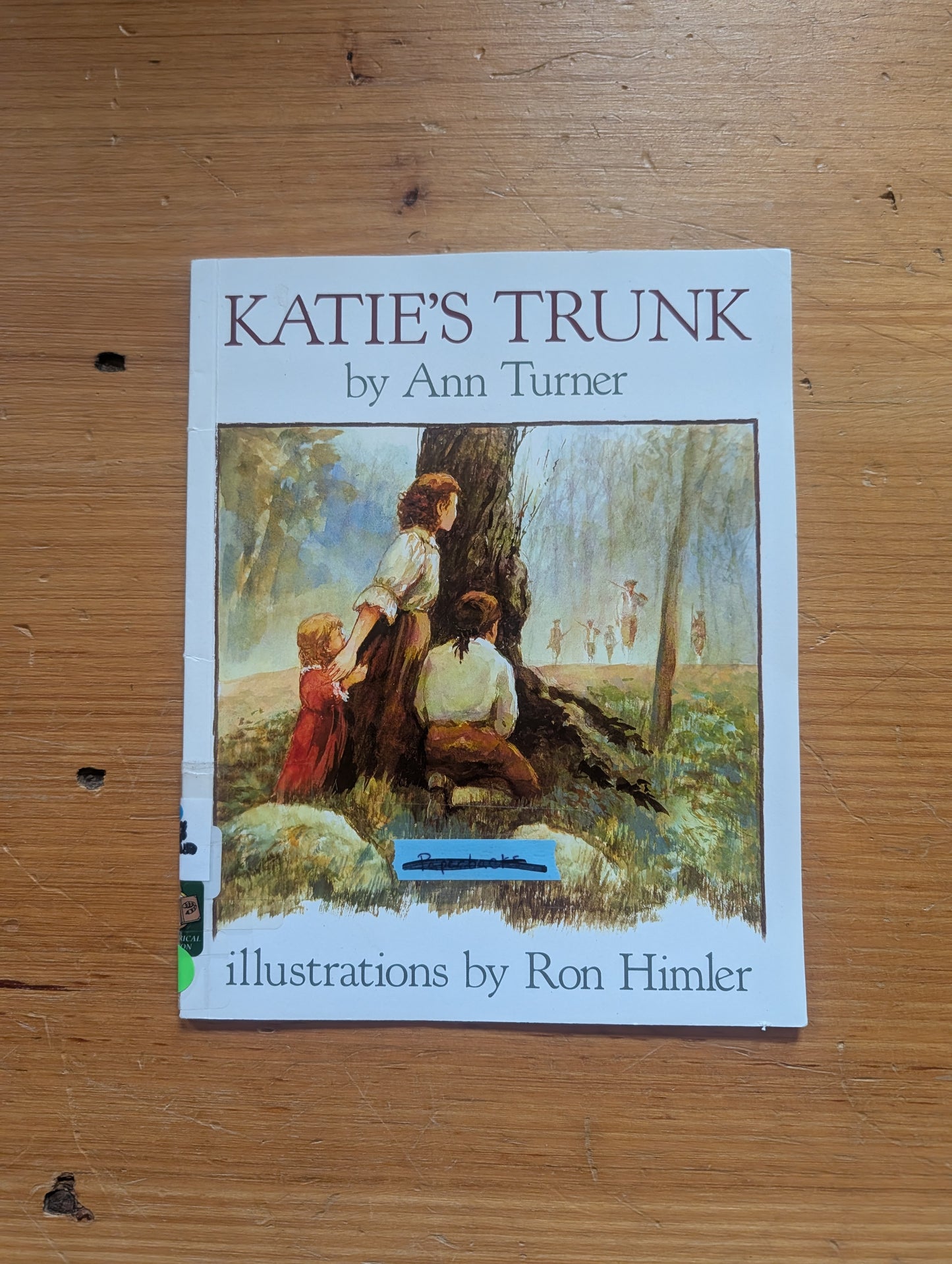 Katie's Trunk by Ann Turner