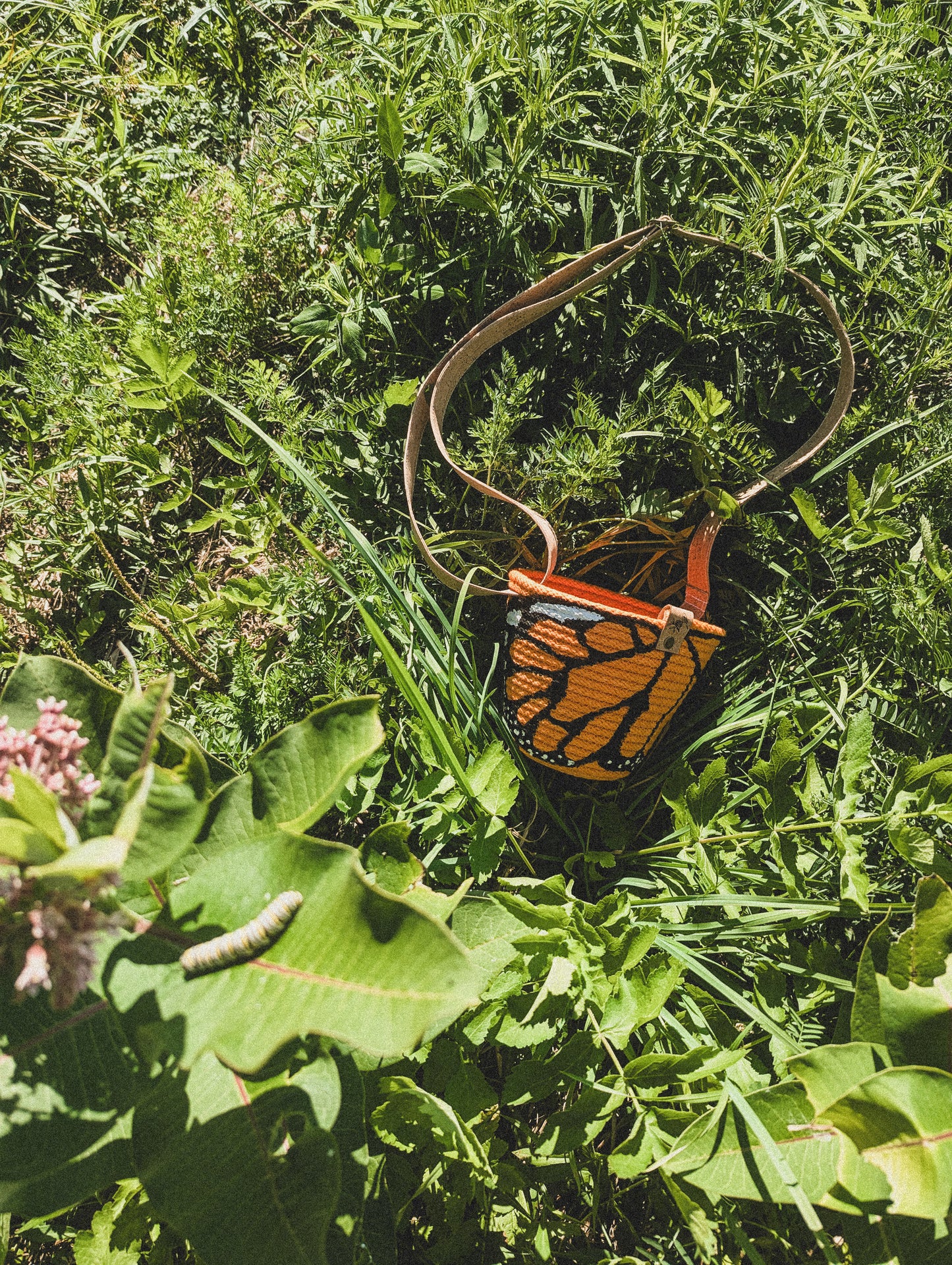 *preorder* MONARCH COLLECTION Evergreen - Foraging Basket