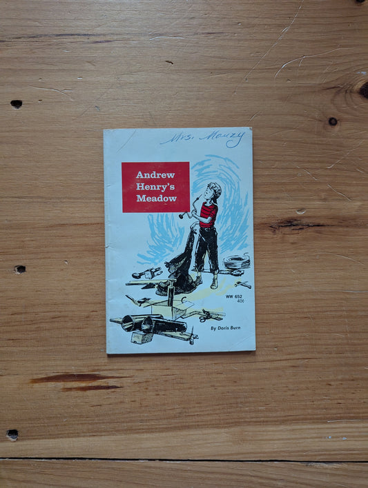 Andrew Henry's Meadow by Doris Burn