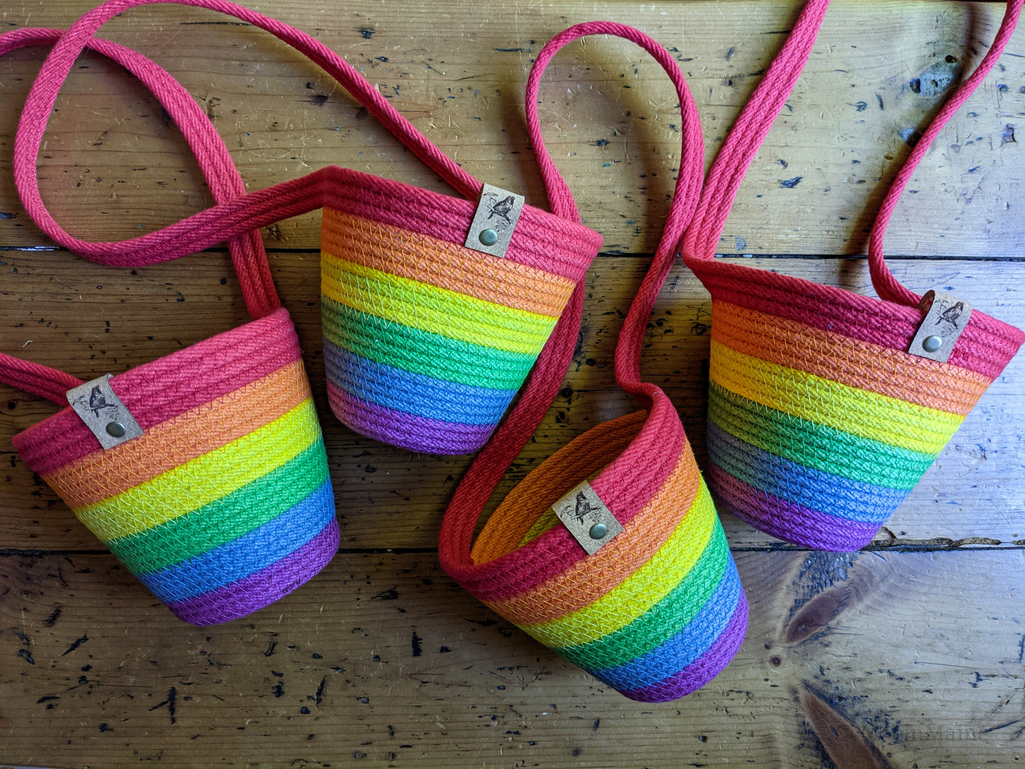Rainbow Evergreen - Foraging Basket