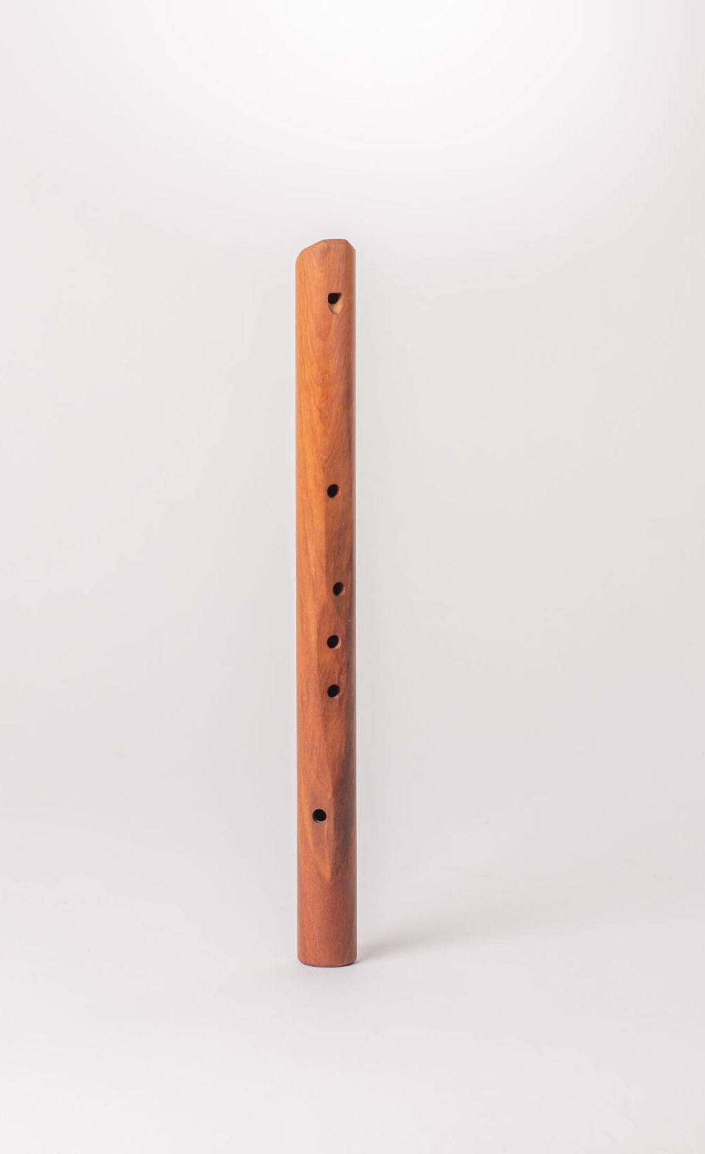 Choroi
