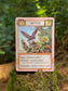 Montrose Biology - Ecologies: Hidden Habitats Card Game