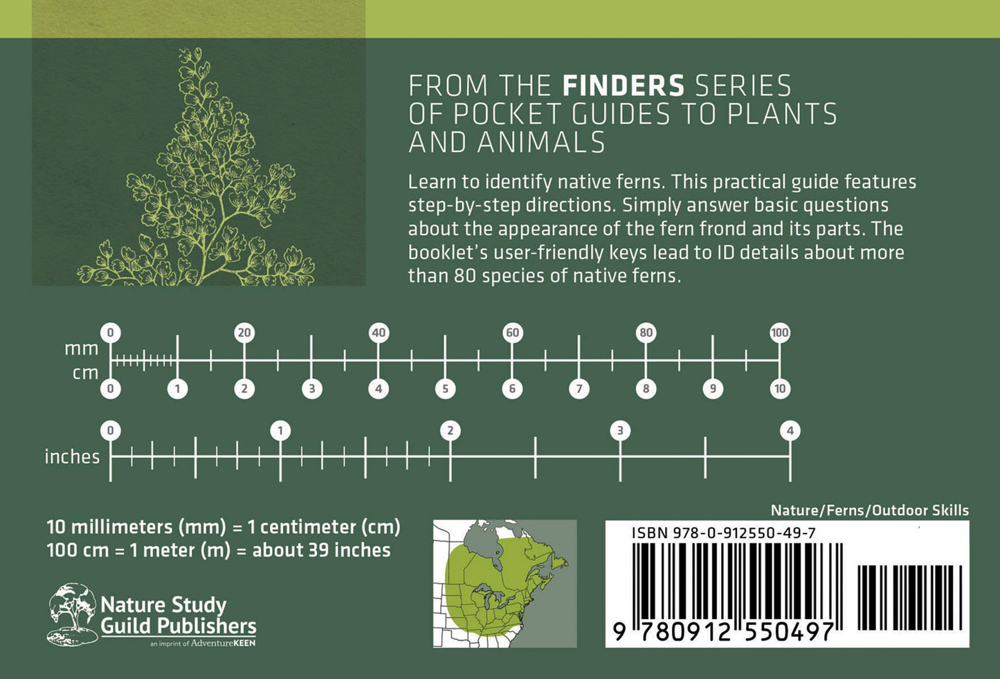 Fern Finder Eastern