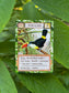 Montrose Biology - Ecologies: Hidden Habitats Card Game