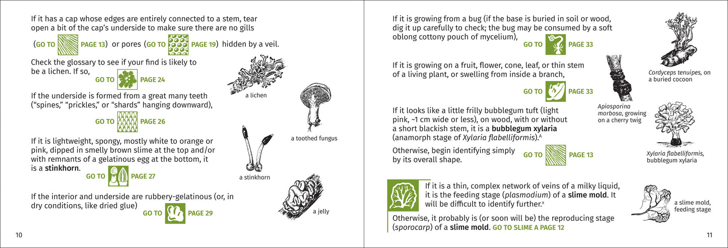 Mushroom Finder