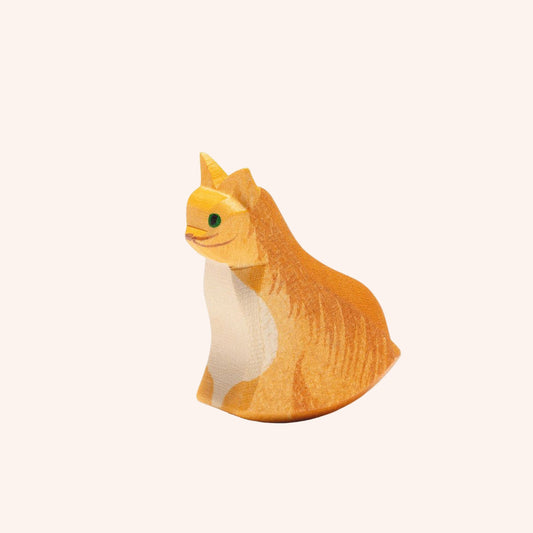 Cat Orange Sitting