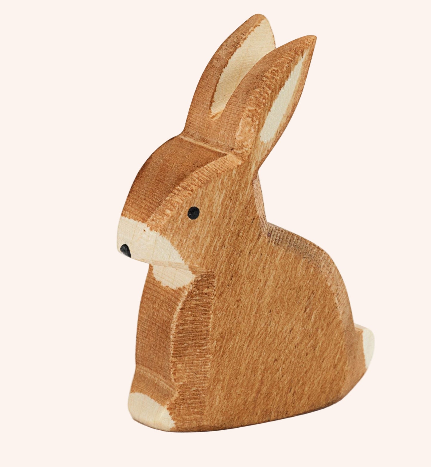 Rabbit Sitting