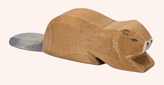 Beaver Lying