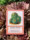 Montrose Biology - Ecologies Card Game