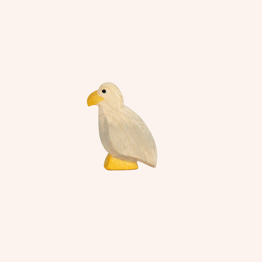 Small White-Tailed Eagle