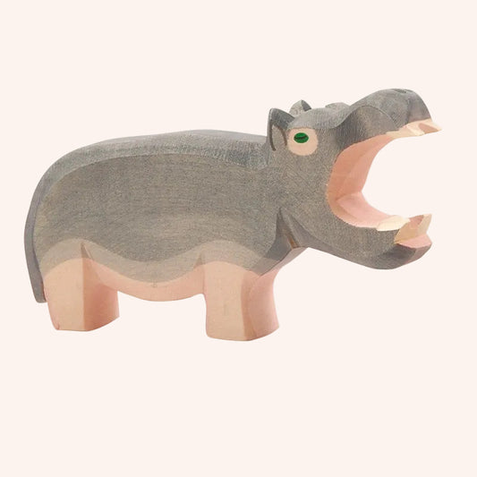 Hippopotamus Mouth Open