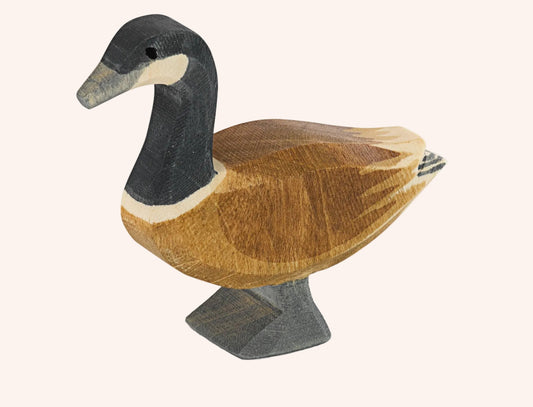 Canada Goose Standing