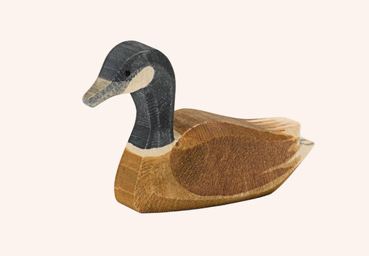 Canada Goose Swimming