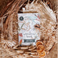 Your Wild Books - Wild Activity Book