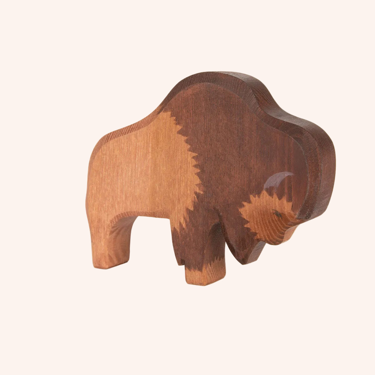 Bison