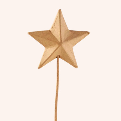 Paper Mache Star Wand