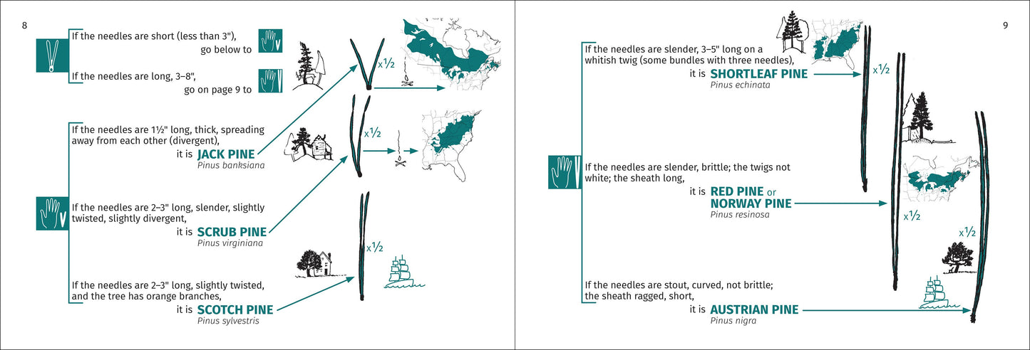 Tree Finder Eastern