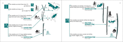 Tree Finder Eastern